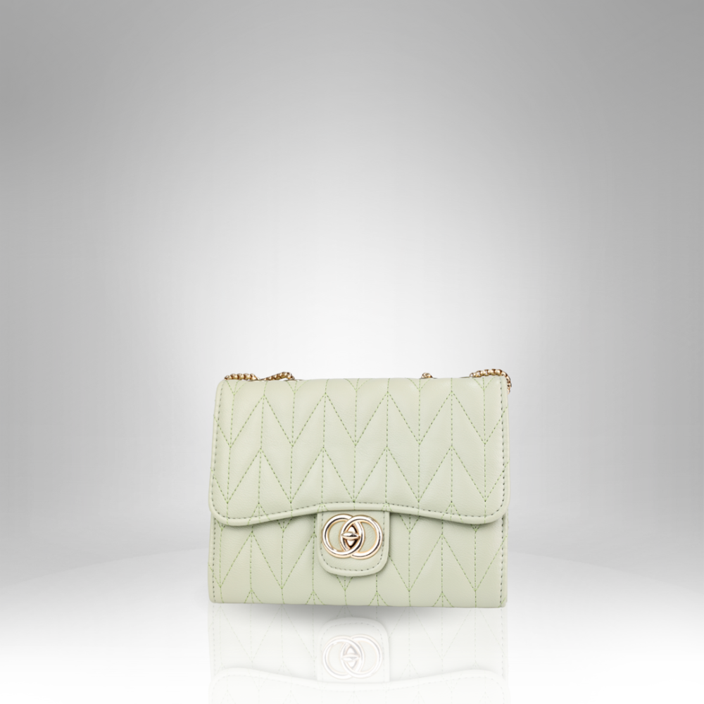 Women's Handbag AX-099