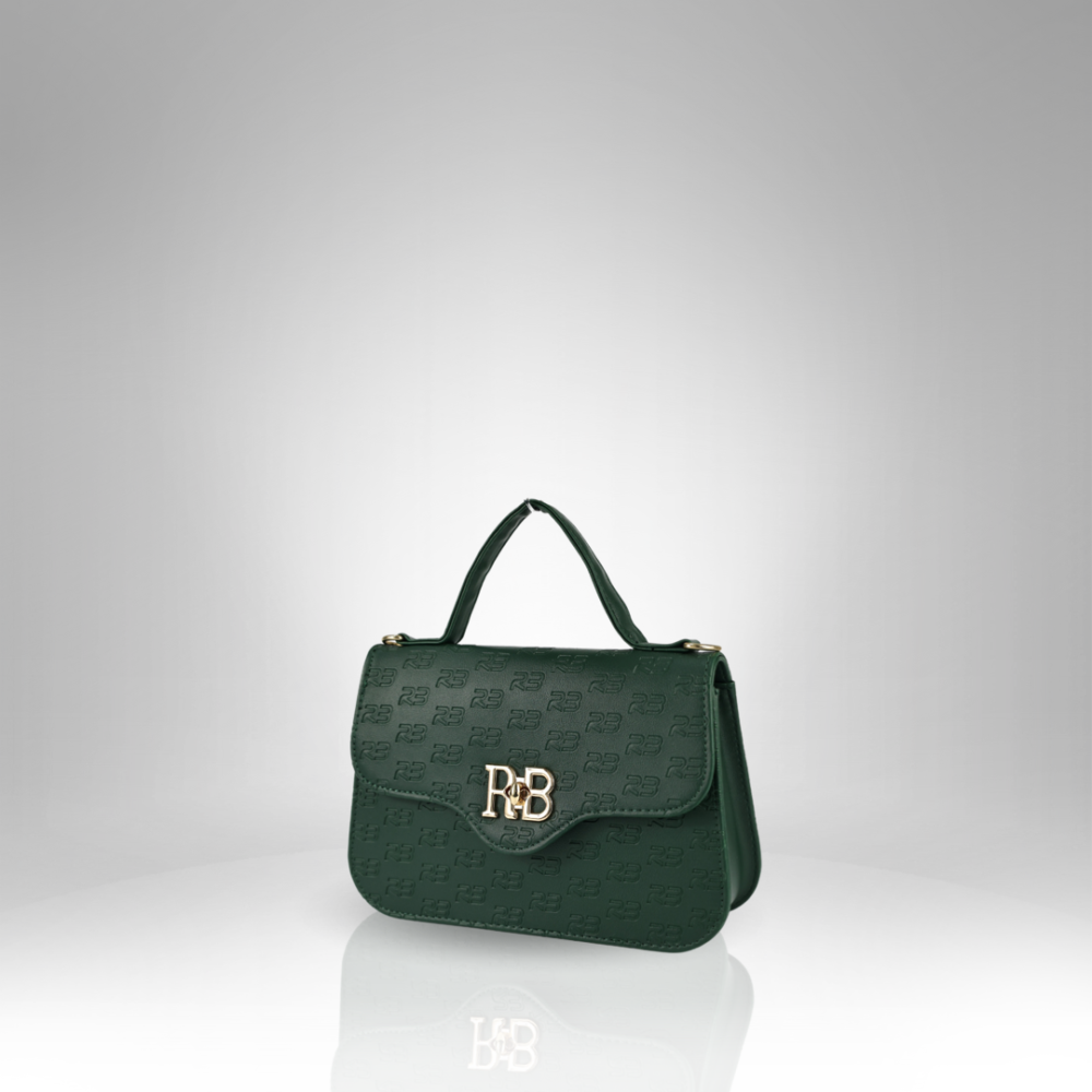 Women's Handbag AX-215-2