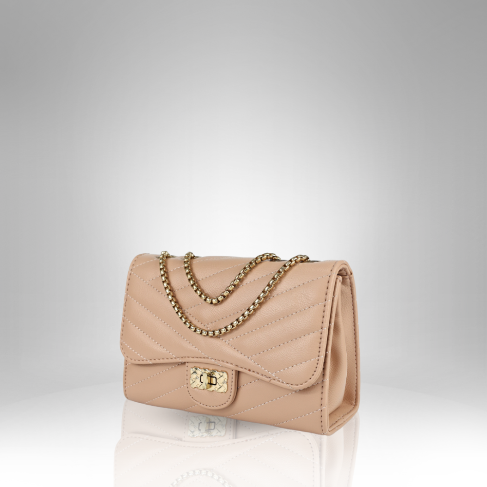 Women’s Handbag AX-101