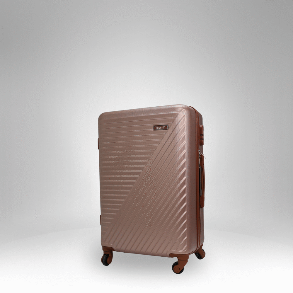 Sleek Large Spinner Luggage - R-611