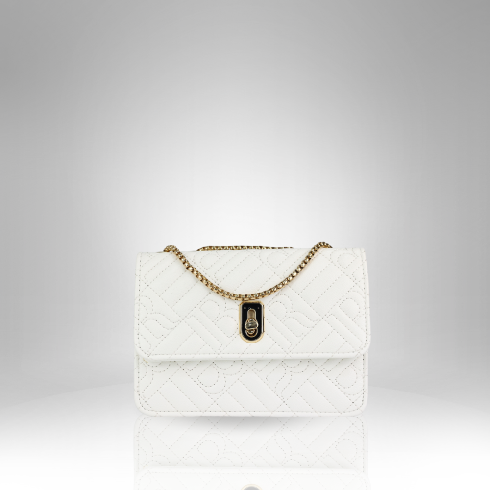 Women's Handbag (AX-251-1)