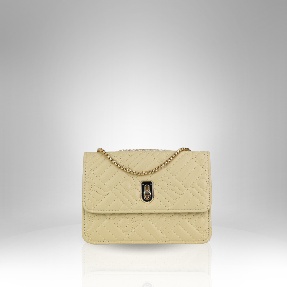 Women's Handbag (AX-251-1) - Image 6