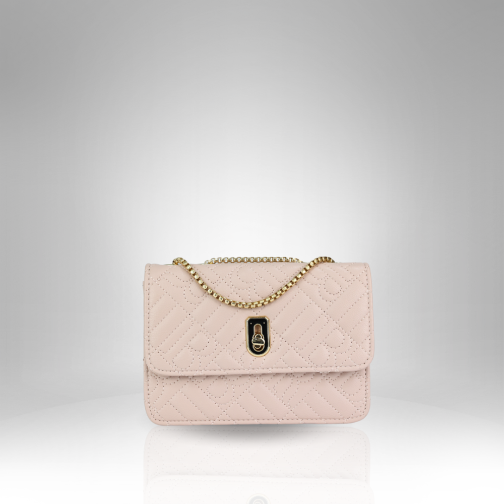 Women's Handbag (AX-251-1) - Image 5